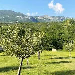 Vakantiehuis Green Cottage *